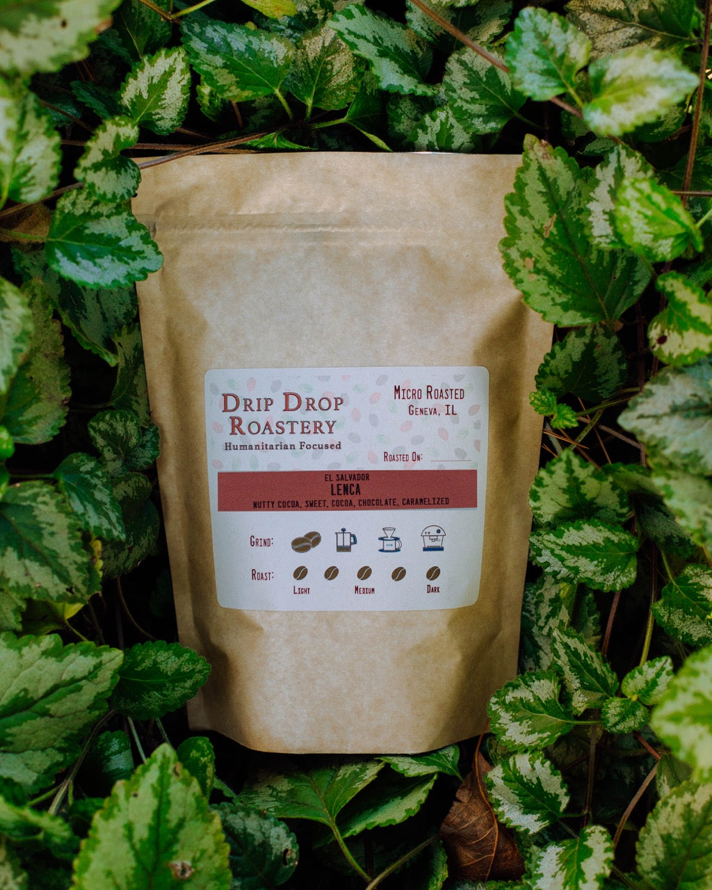 Roaster's Choice