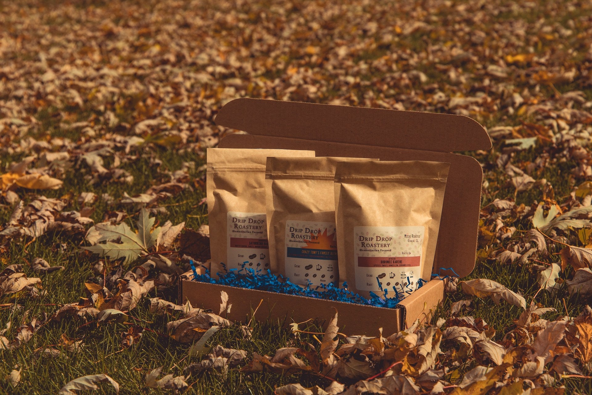 Roaster's Choice 3 Pack