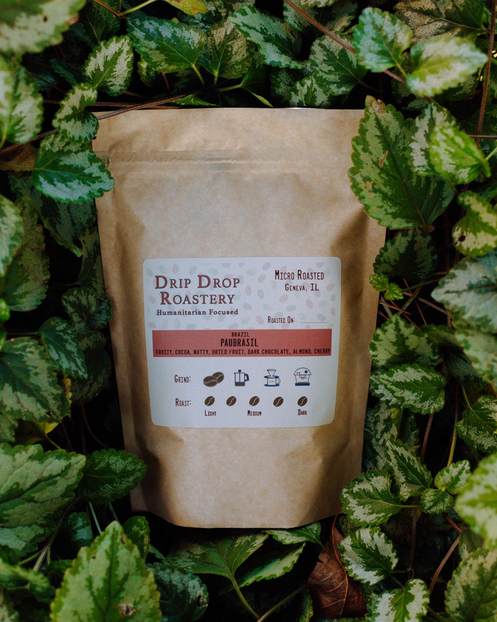 Brazil Paubrasil Auto renew