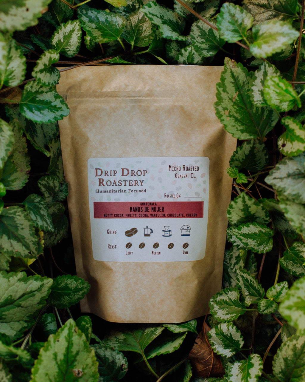 Guatemala Manos de Mujer 10.00% Off Auto renew